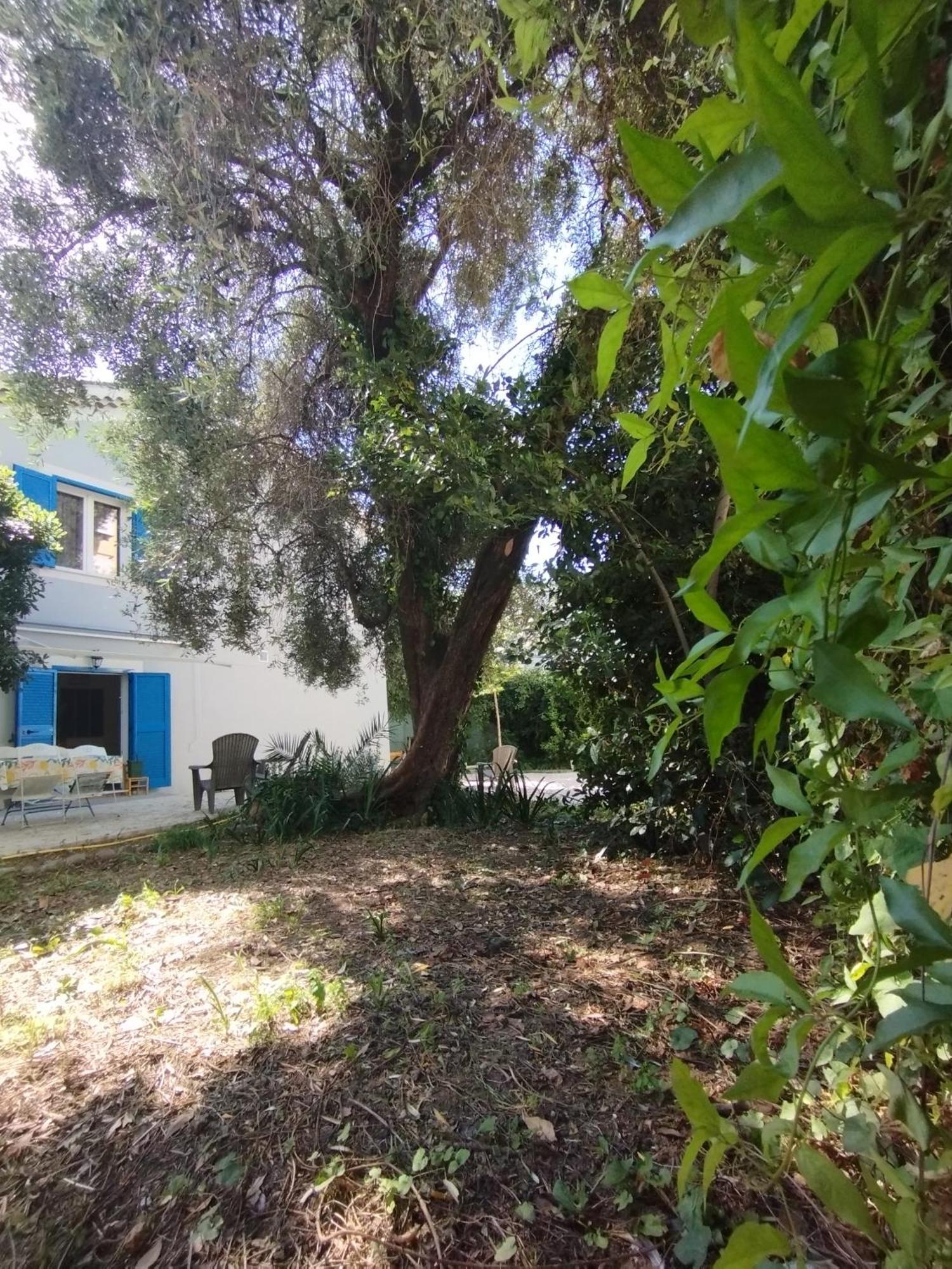 Maison D'Hotes Floribel Cagnes-sur-Mer Buitenkant foto